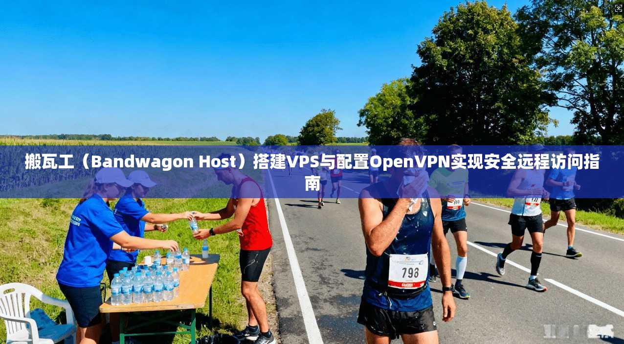 搬瓦工（Bandwagon Host）搭建VPS与配置OpenVPN实现安全远程访问指南