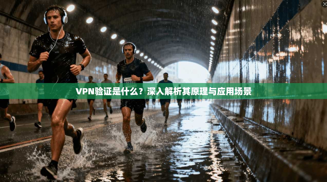 VPN验证是什么？深入解析其原理与应用场景