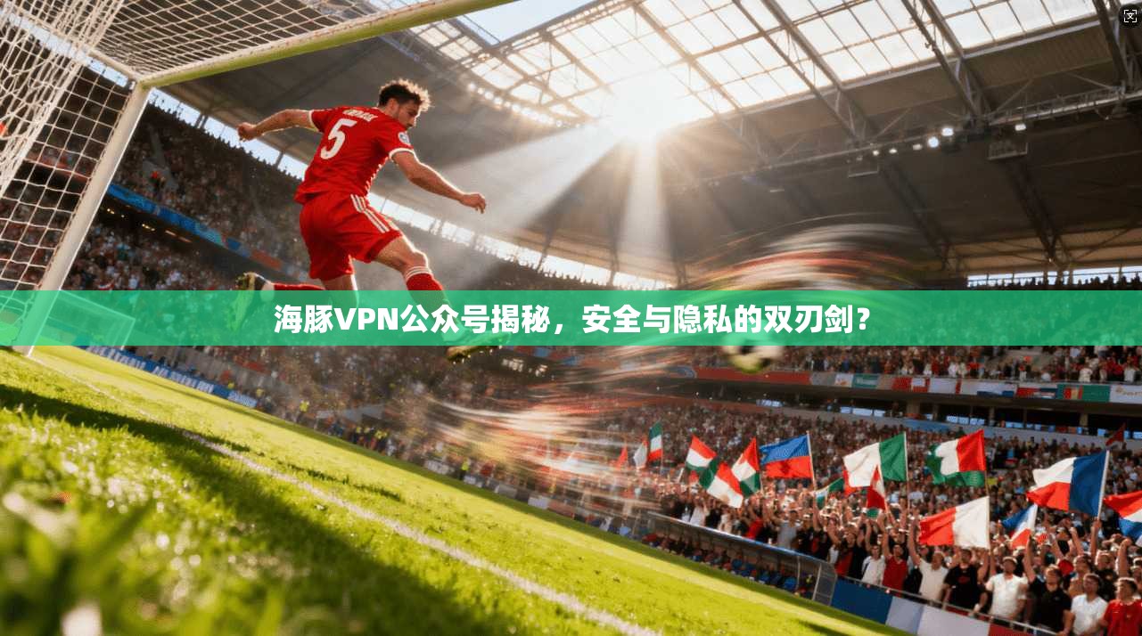 海豚VPN公众号揭秘，安全与隐私的双刃剑？