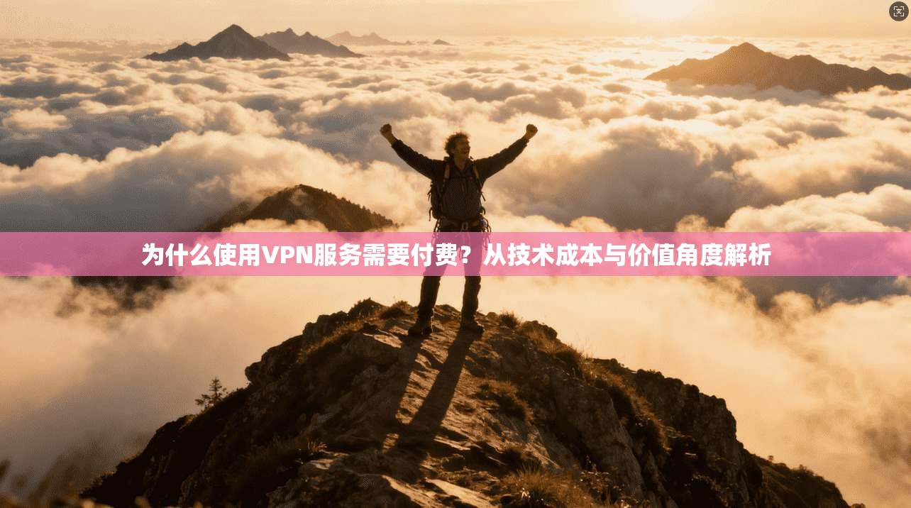 为什么使用VPN服务需要付费？从技术成本与价值角度解析