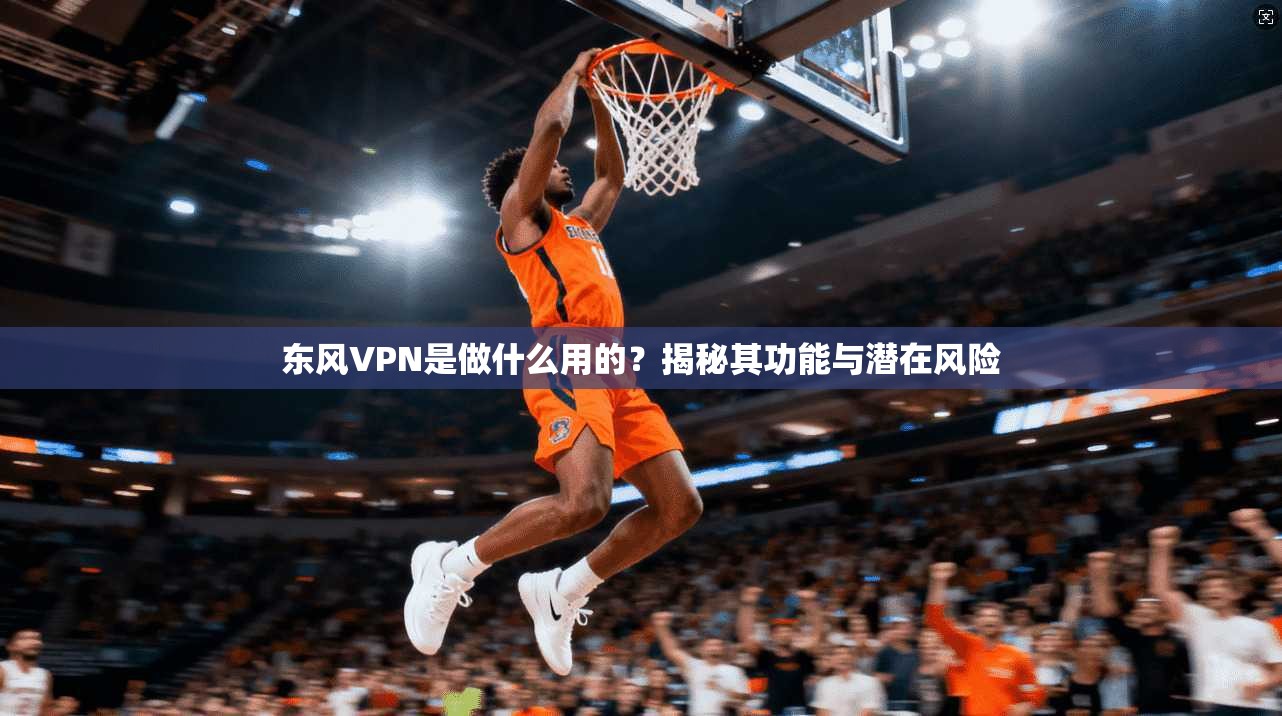东风VPN是做什么用的?揭秘其功能与潜在风险