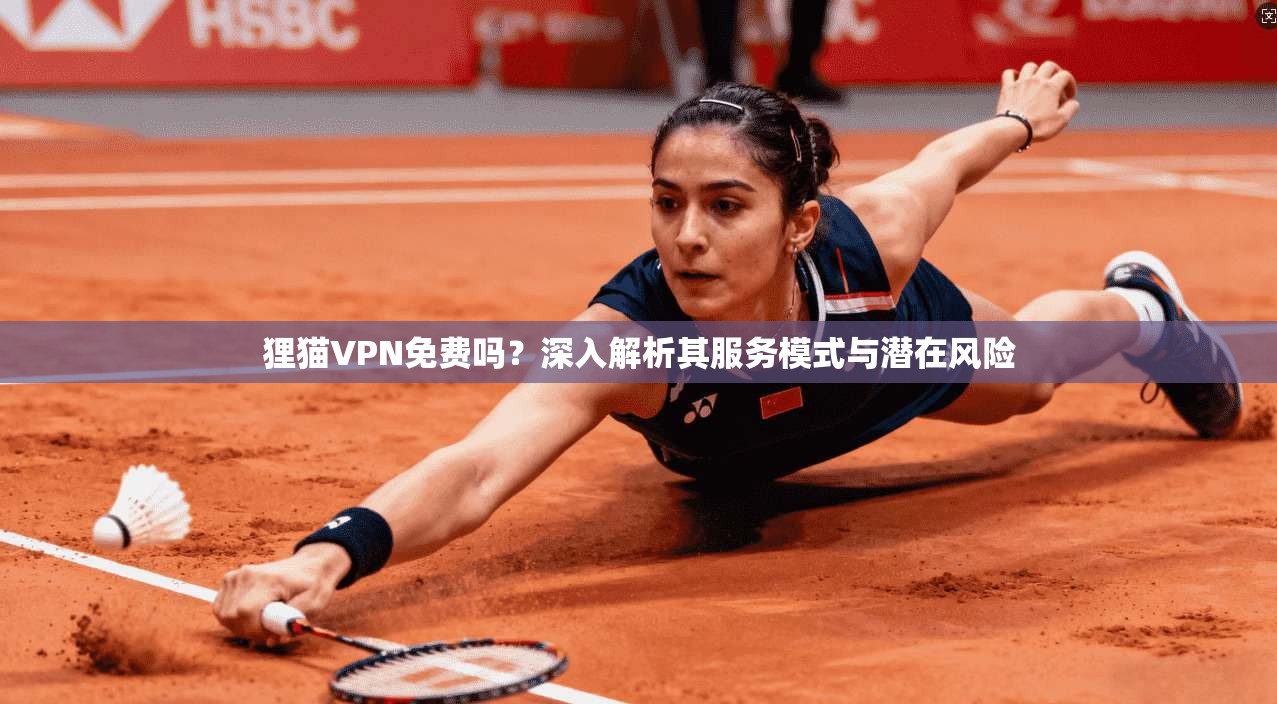 狸猫VPN免费吗？深入解析其服务模式与潜在风险