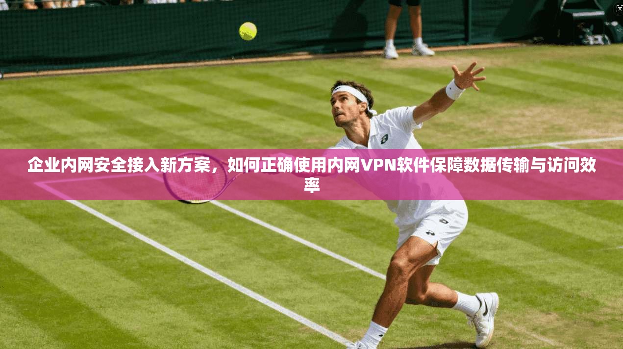 企业内网安全接入新方案,如何正确使用内网VPN软件保障数据传输与访问效率