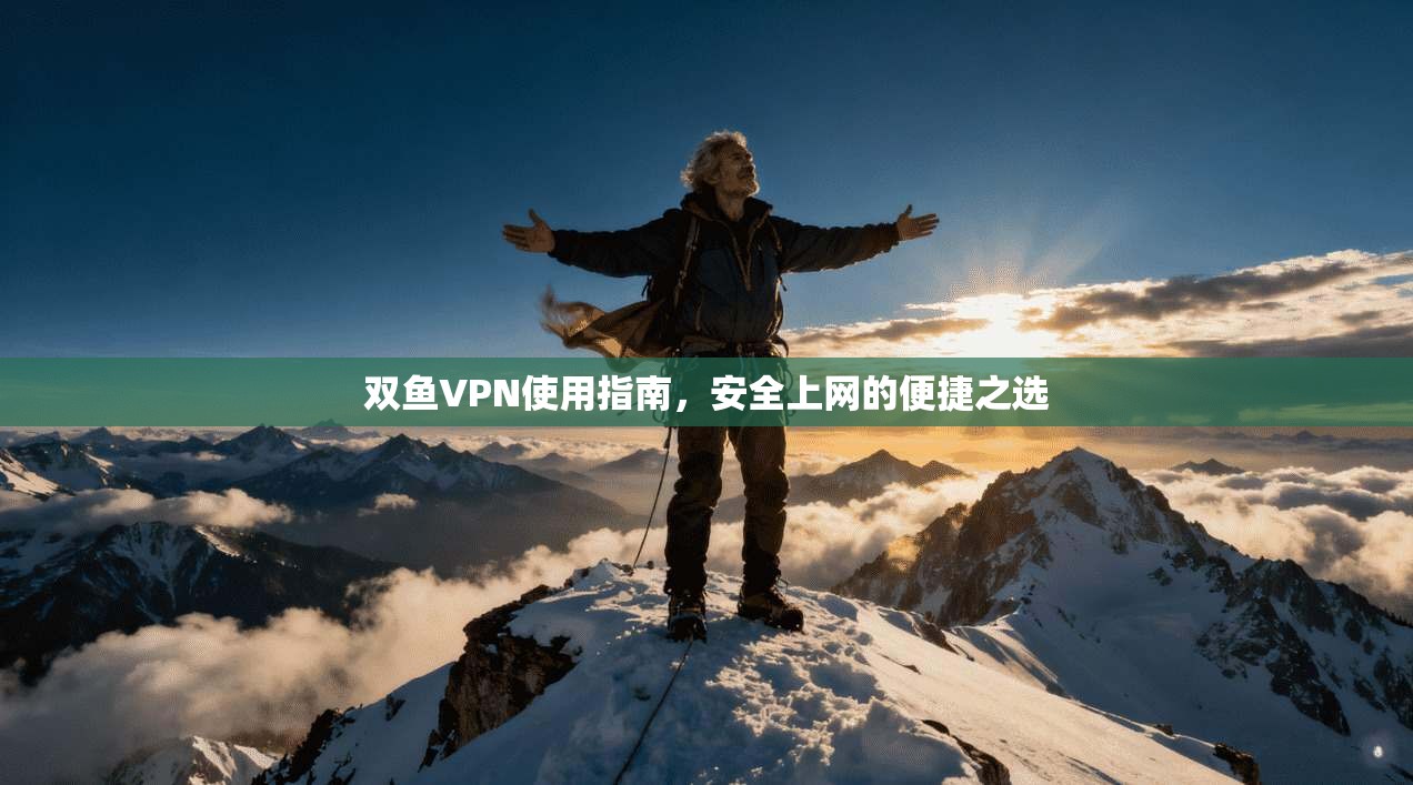 双鱼VPN使用指南，安全上网的便捷之选