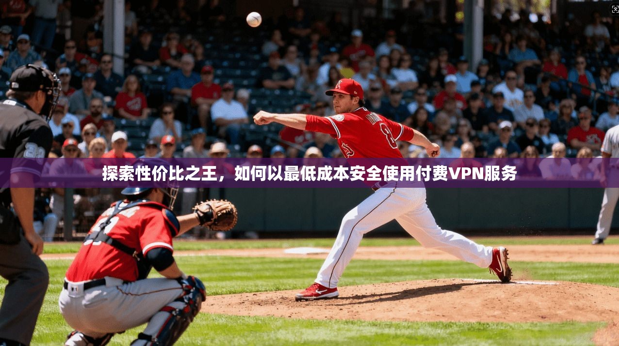 探索性价比之王，如何以最低成本安全使用付费VPN服务