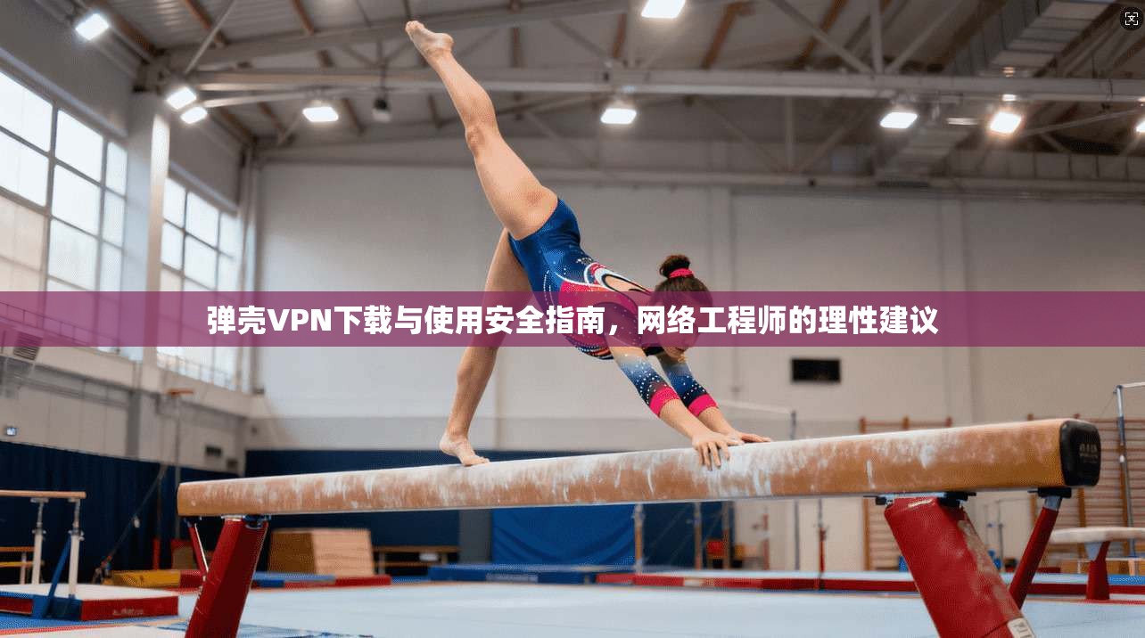 弹壳VPN下载与使用安全指南，网络工程师的理性建议
