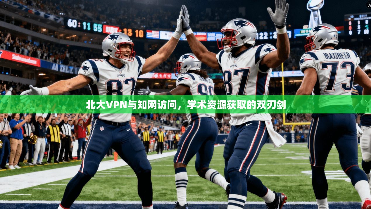 北大VPN与知网访问，学术资源获取的双刃剑