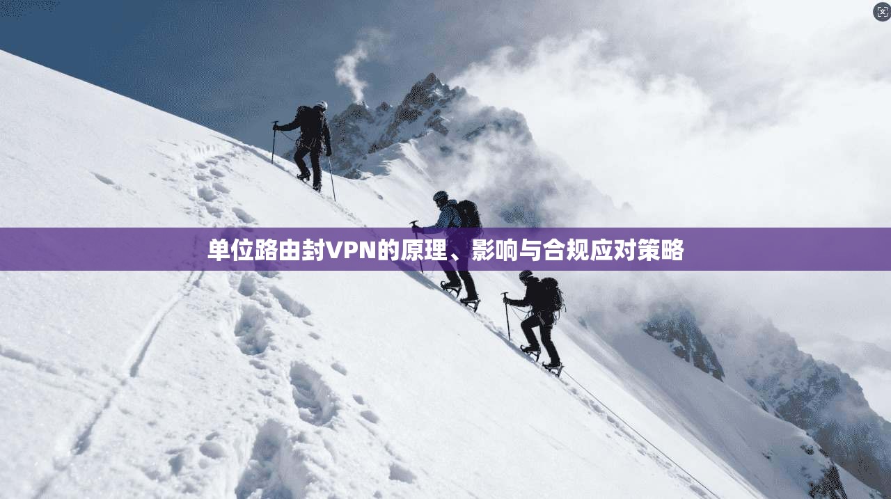 单位路由封VPN的原理、影响与合规应对策略