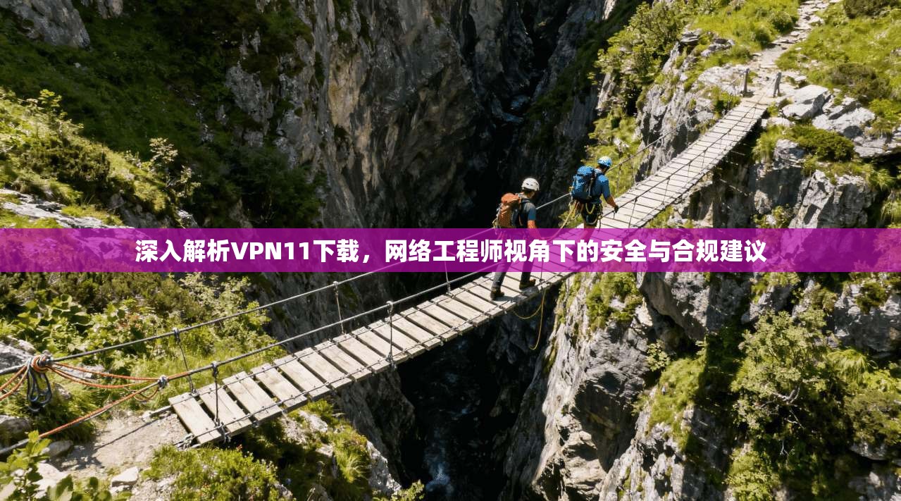 深入解析VPN11下载，网络工程师视角下的安全与合规建议