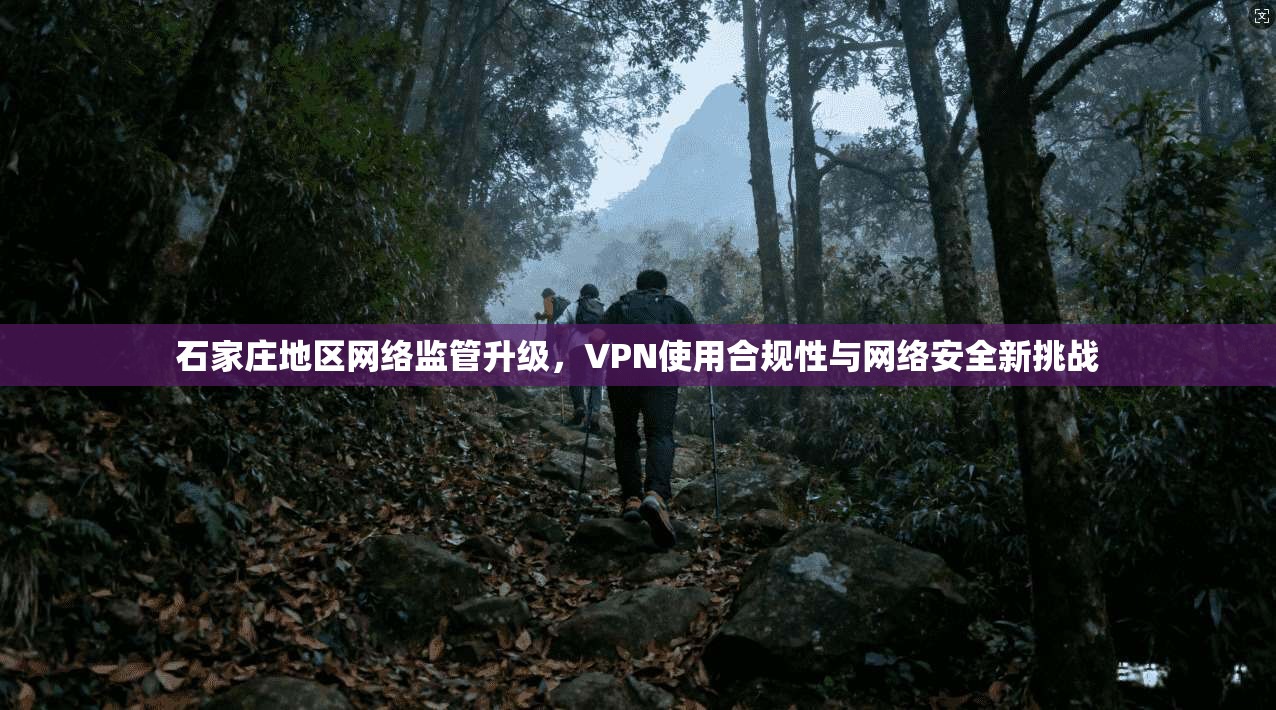 石家庄地区网络监管升级，VPN使用合规性与网络安全新挑战