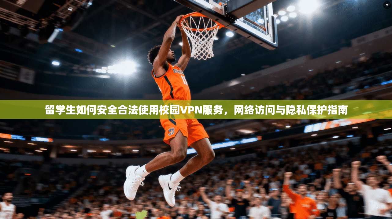 留学生如何安全合法使用校园VPN服务，网络访问与隐私保护指南