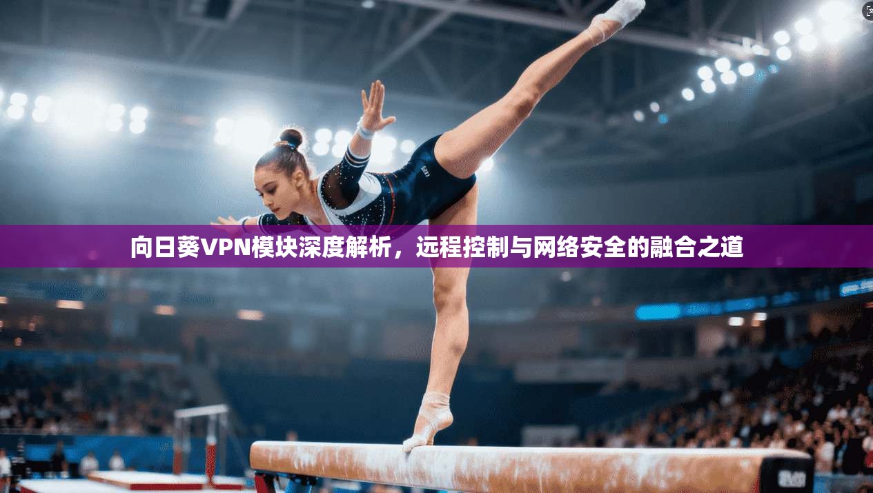 向日葵VPN模块深度解析，远程控制与网络安全的融合之道