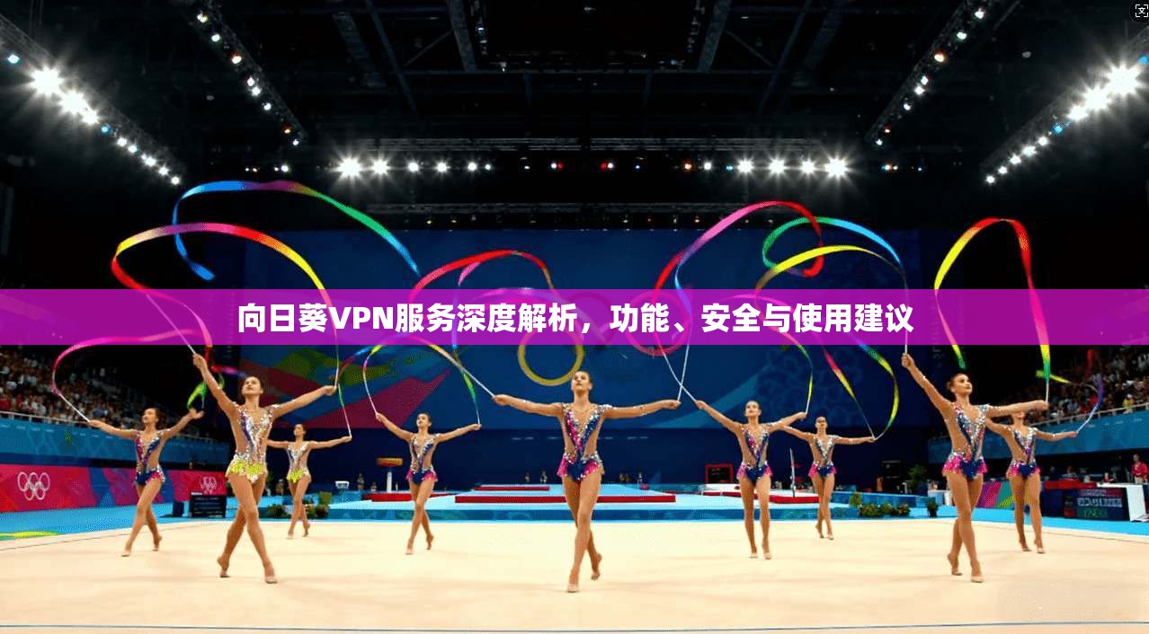 向日葵VPN服务深度解析,功能、安全与使用建议