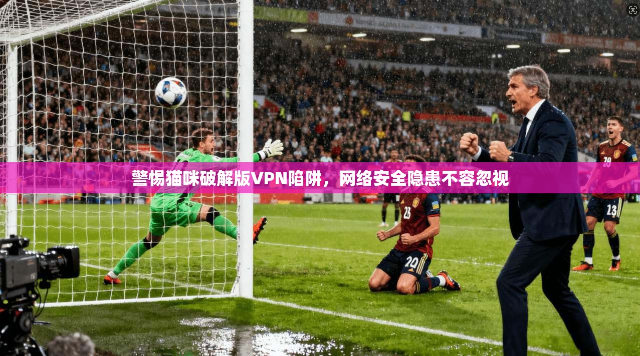 警惕猫咪破解版VPN陷阱,网络安全隐患不容忽视