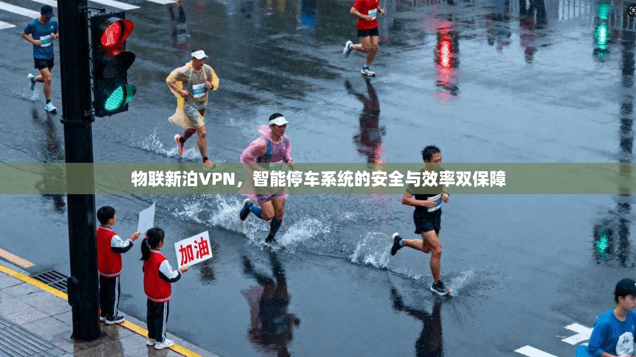 物联新泊VPN，智能停车系统的安全与效率双保障