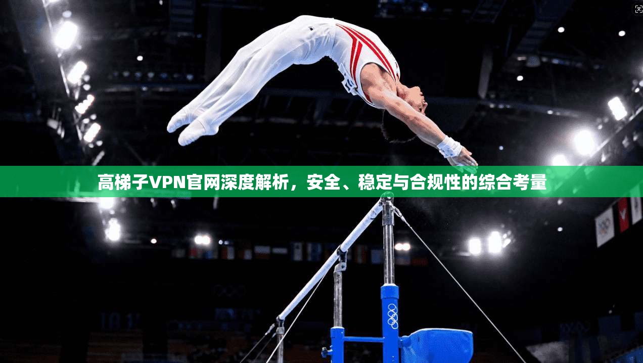 高梯子VPN官网深度解析,安全、稳定与合规性的综合考量