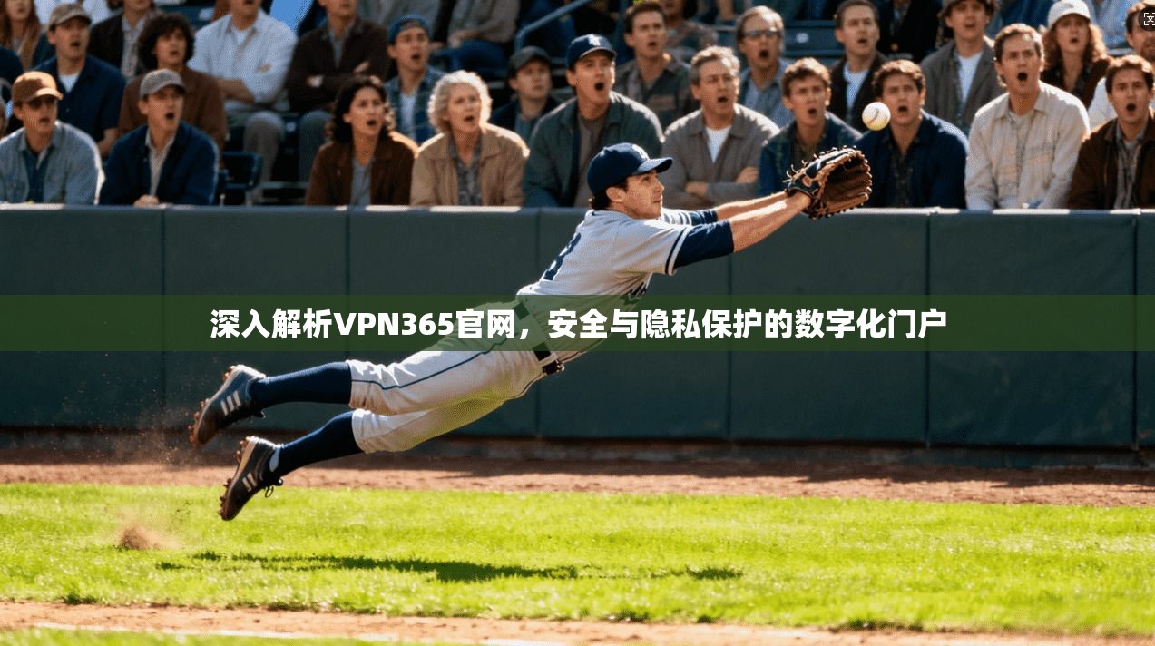 深入解析VPN365官网，安全与隐私保护的数字化门户