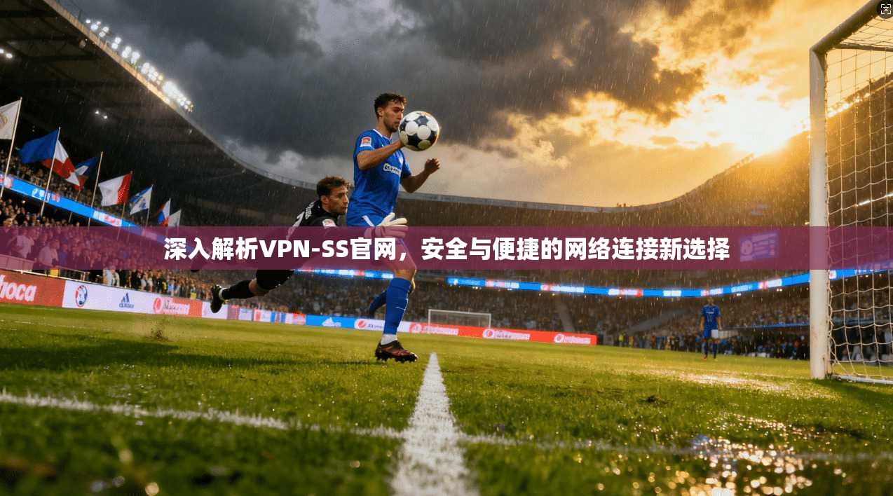 深入解析VPN-SS官网,安全与便捷的网络连接新选择