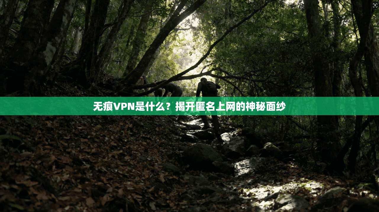 无痕VPN是什么？揭开匿名上网的神秘面纱