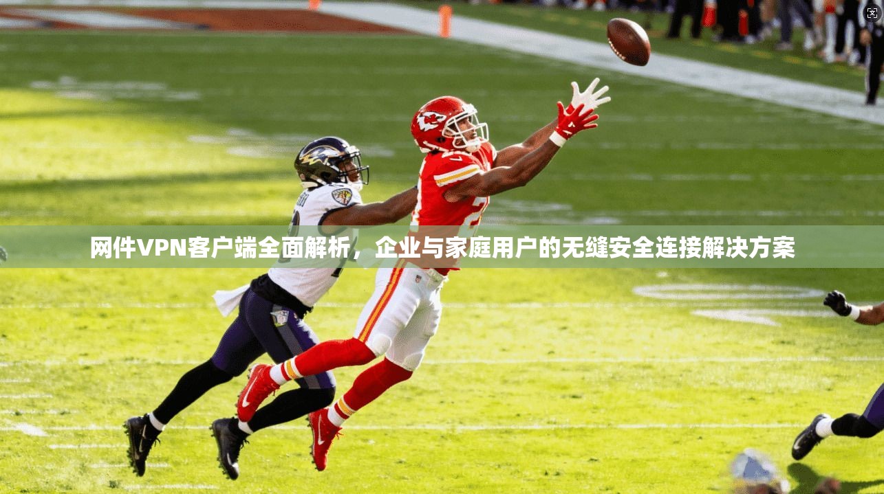 网件VPN客户端全面解析，企业与家庭用户的无缝安全连接解决方案