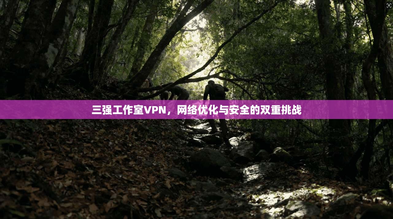 三强工作室VPN，网络优化与安全的双重挑战