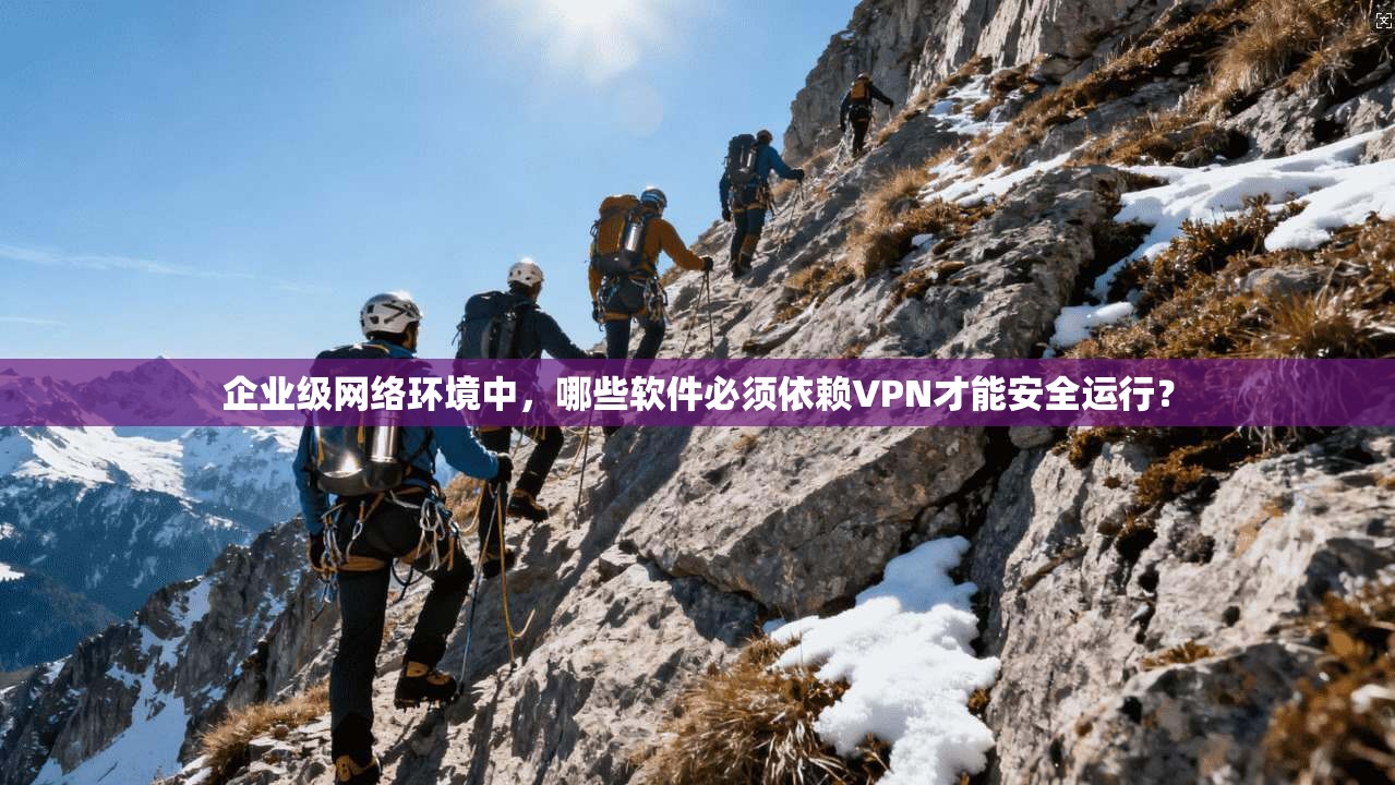 企业级网络环境中,哪些软件必须依赖VPN才能安全运行?