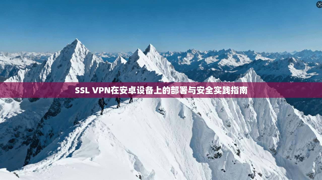 SSL VPN在安卓设备上的部署与安全实践指南