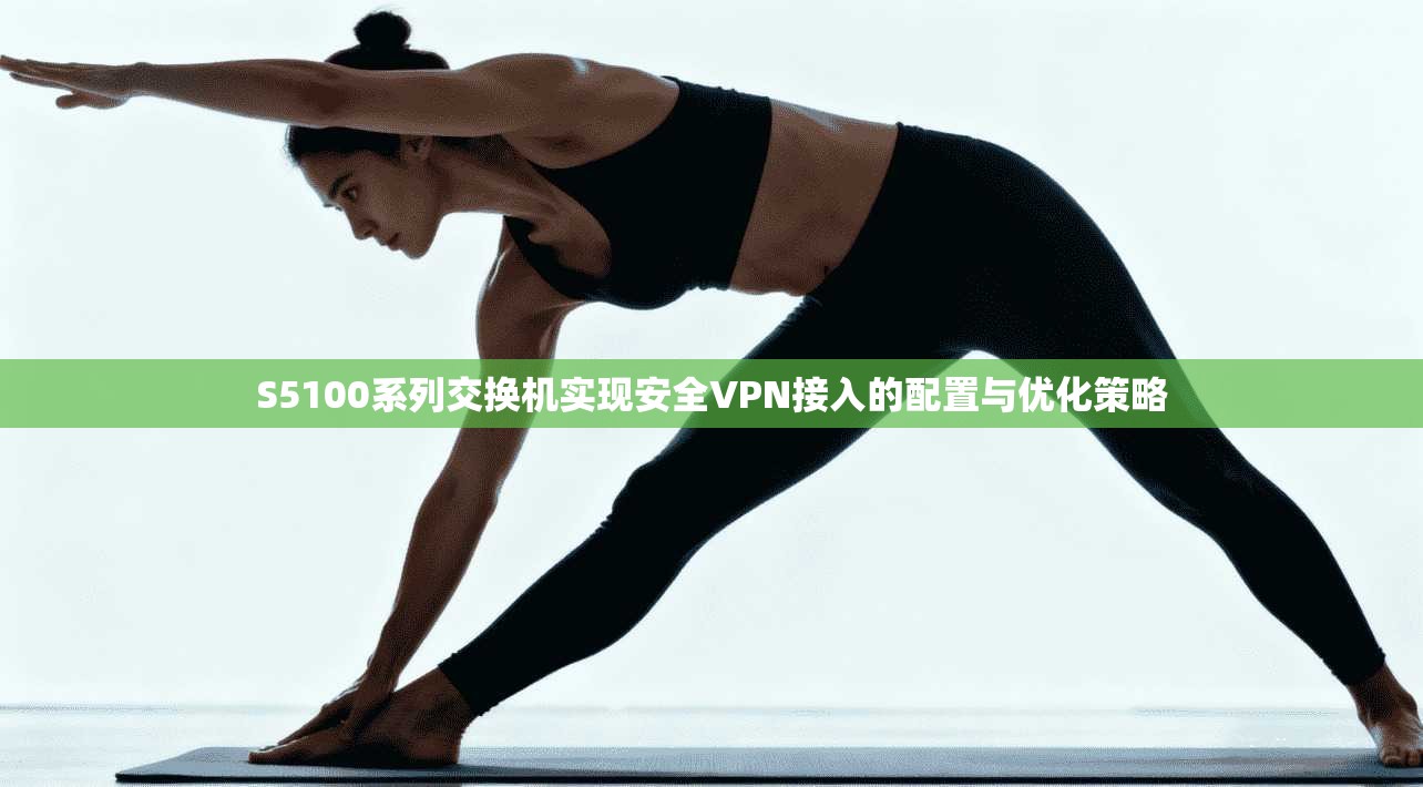 S5100系列交换机实现安全VPN接入的配置与优化策略