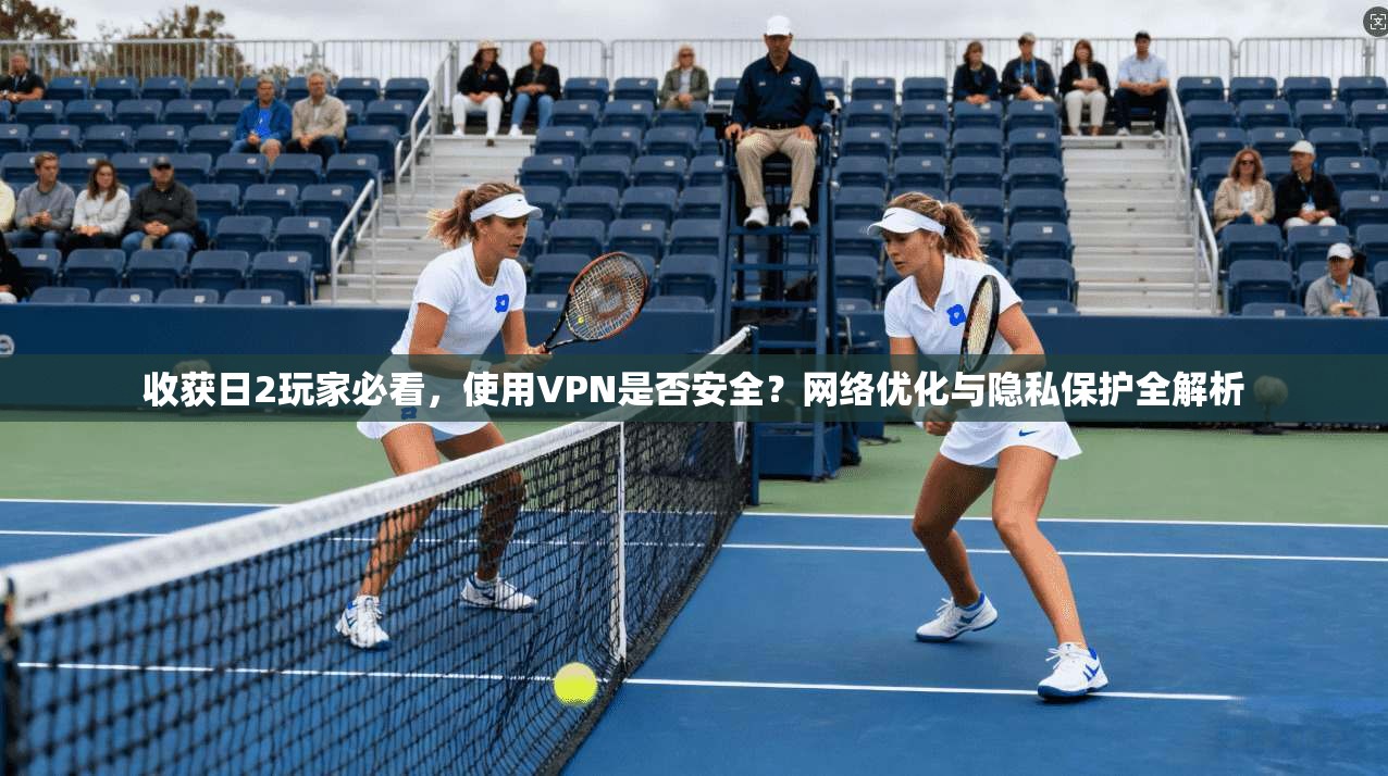 收获日2玩家必看，使用VPN是否安全？网络优化与隐私保护全解析