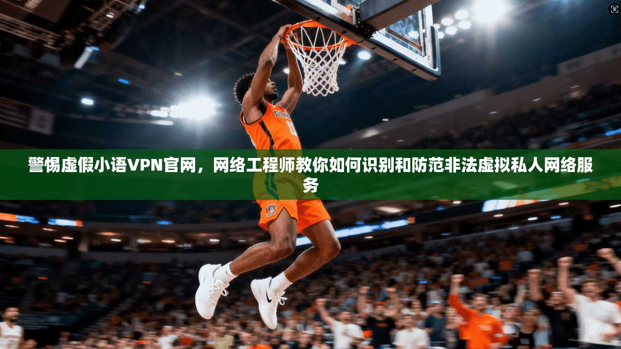 警惕虚假小语VPN官网，网络工程师教你如何识别和防范非法虚拟私人网络服务