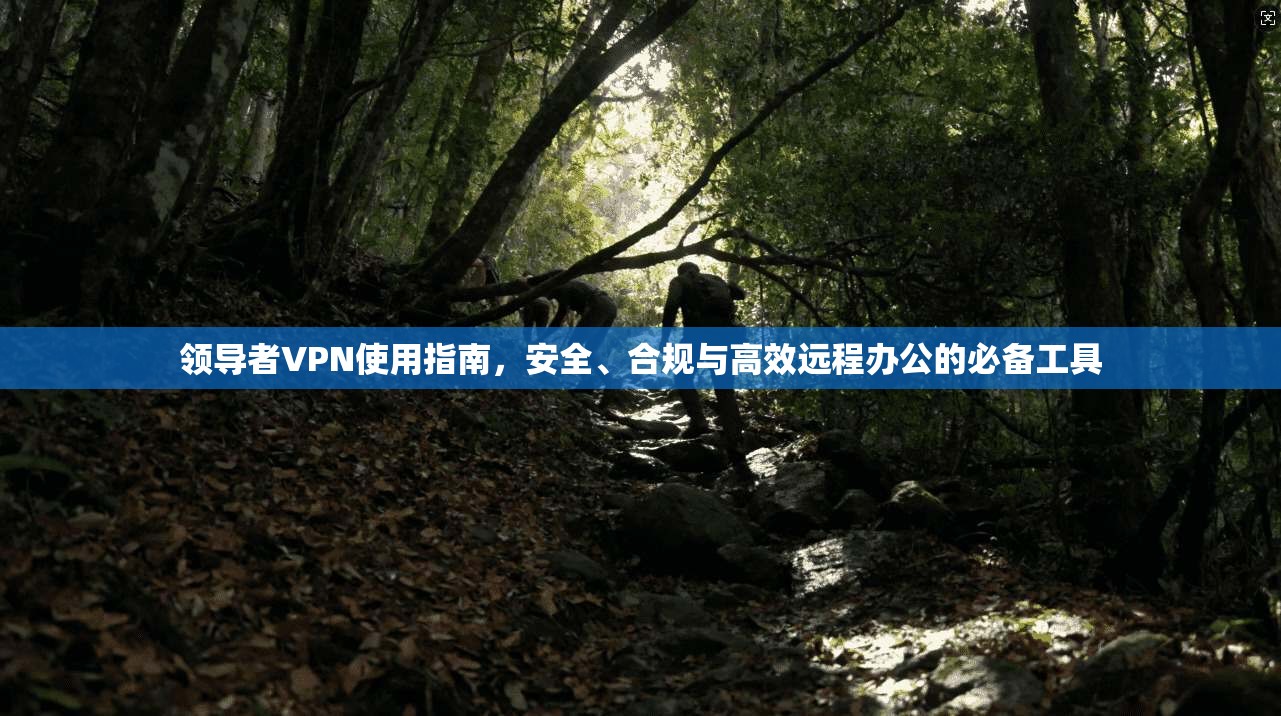 领导者VPN使用指南，安全、合规与高效远程办公的必备工具