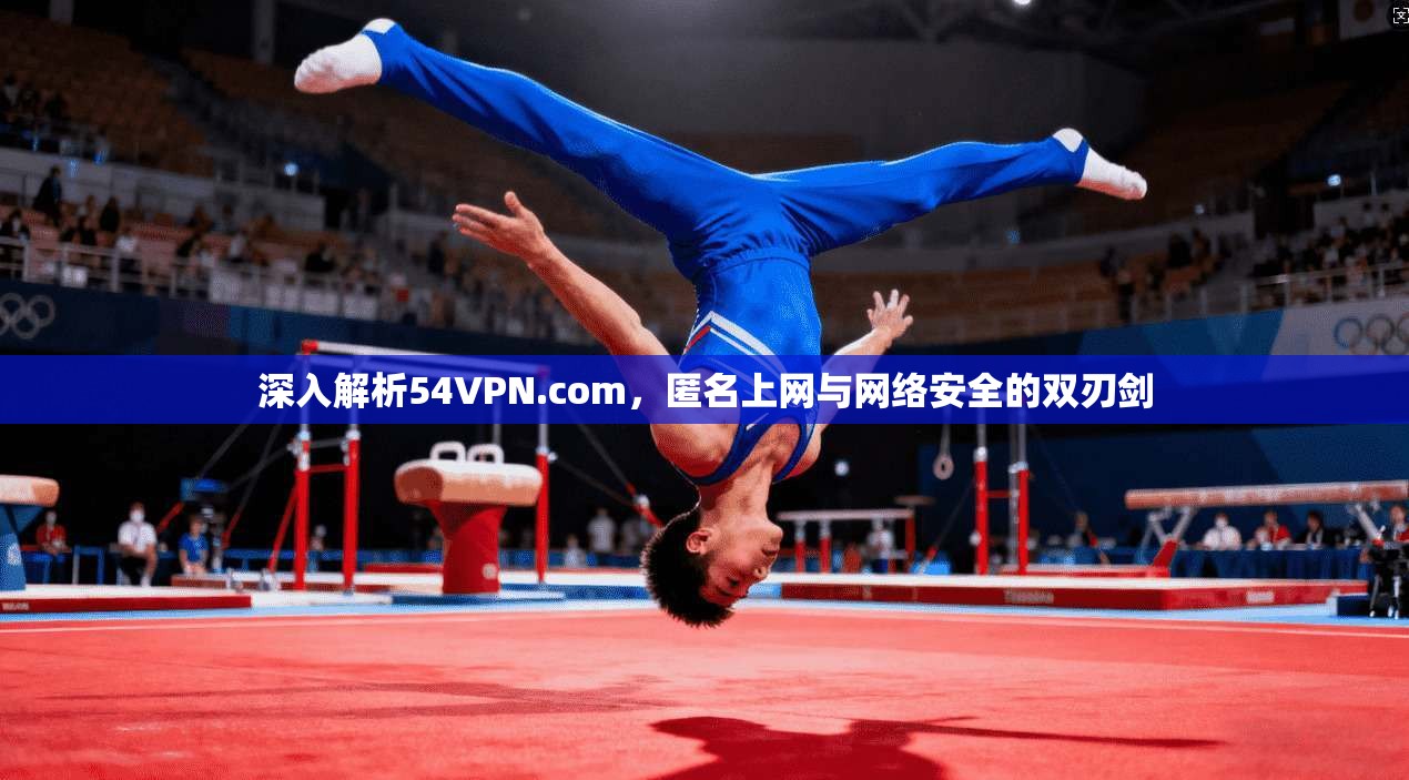 深入解析54VPN.com，匿名上网与网络安全的双刃剑
