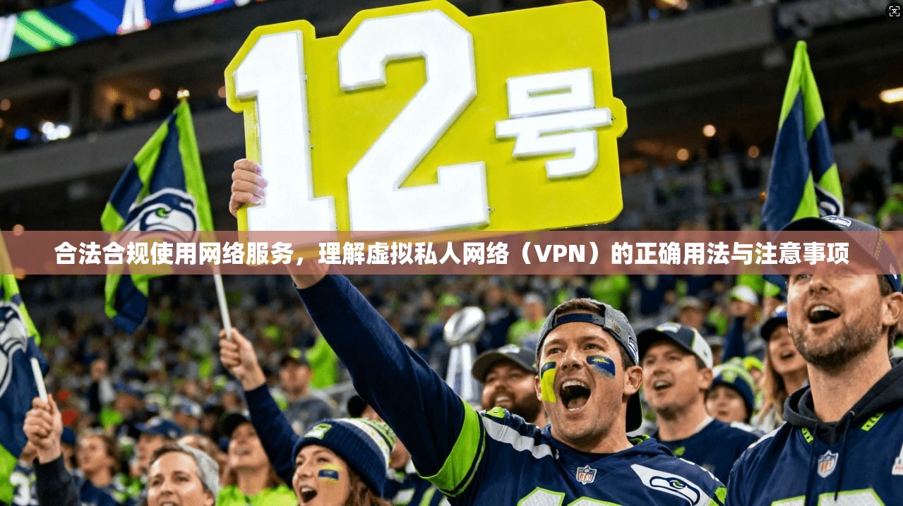 合法合规使用网络服务，理解虚拟私人网络（VPN）的正确用法与注意事项
