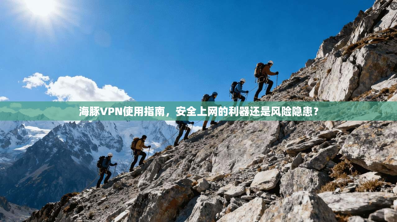 海豚VPN使用指南，安全上网的利器还是风险隐患？