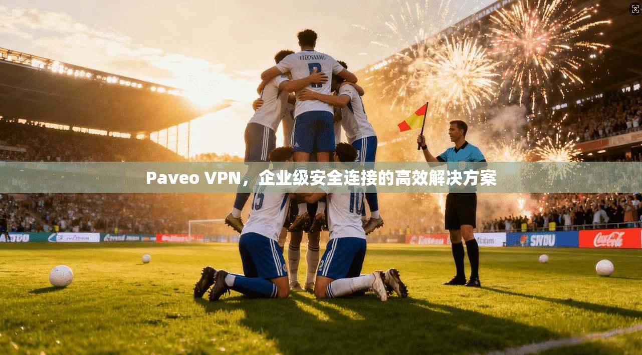 Paveo VPN，企业级安全连接的高效解决方案
