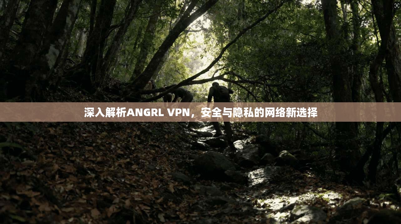 深入解析ANGRL VPN，安全与隐私的网络新选择