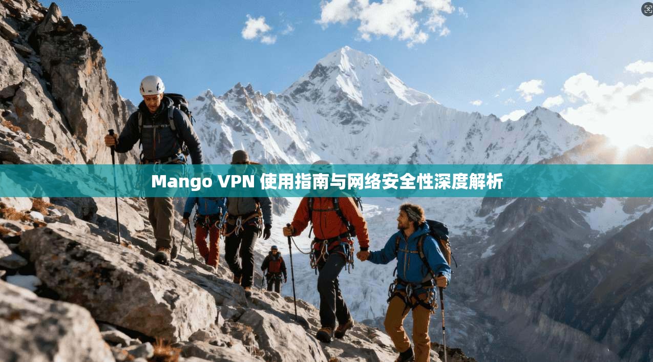 Mango VPN 使用指南与网络安全性深度解析