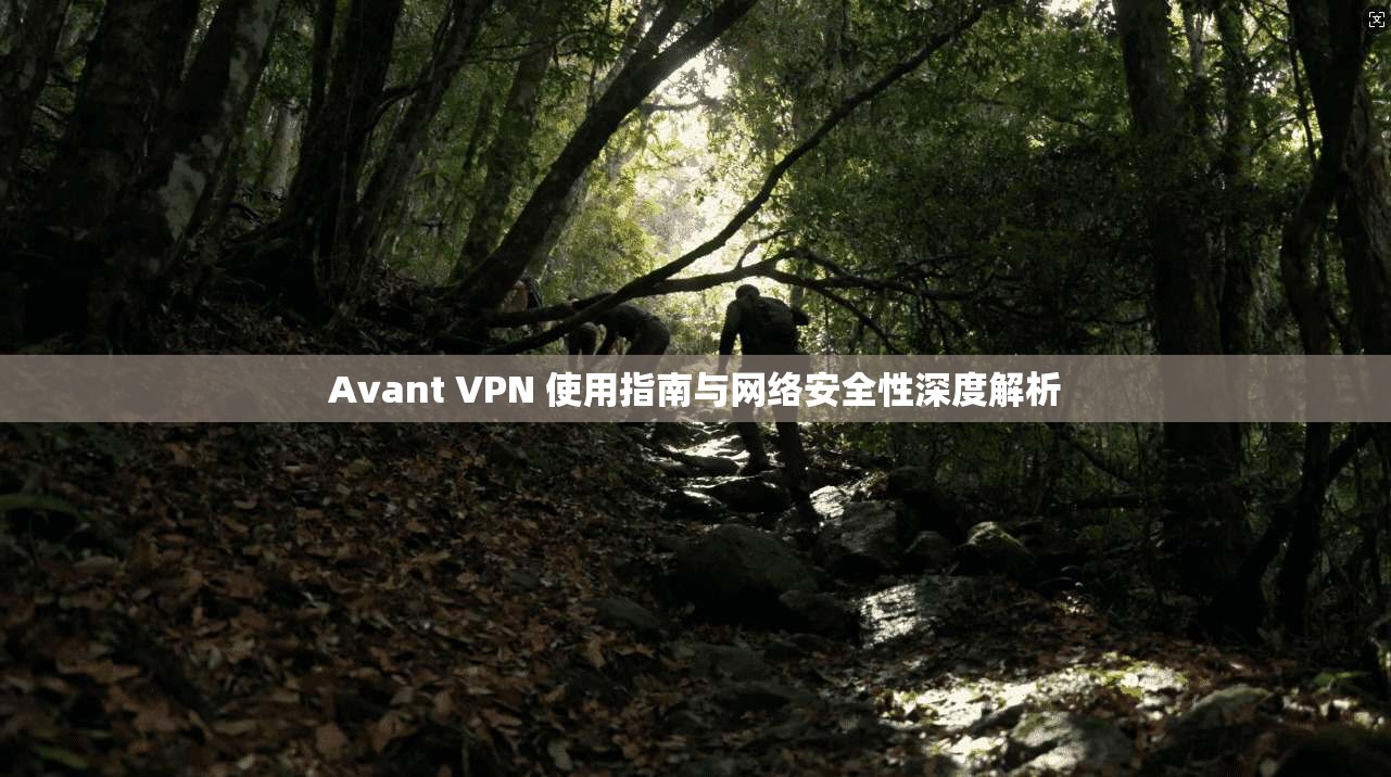 Avant VPN 使用指南与网络安全性深度解析