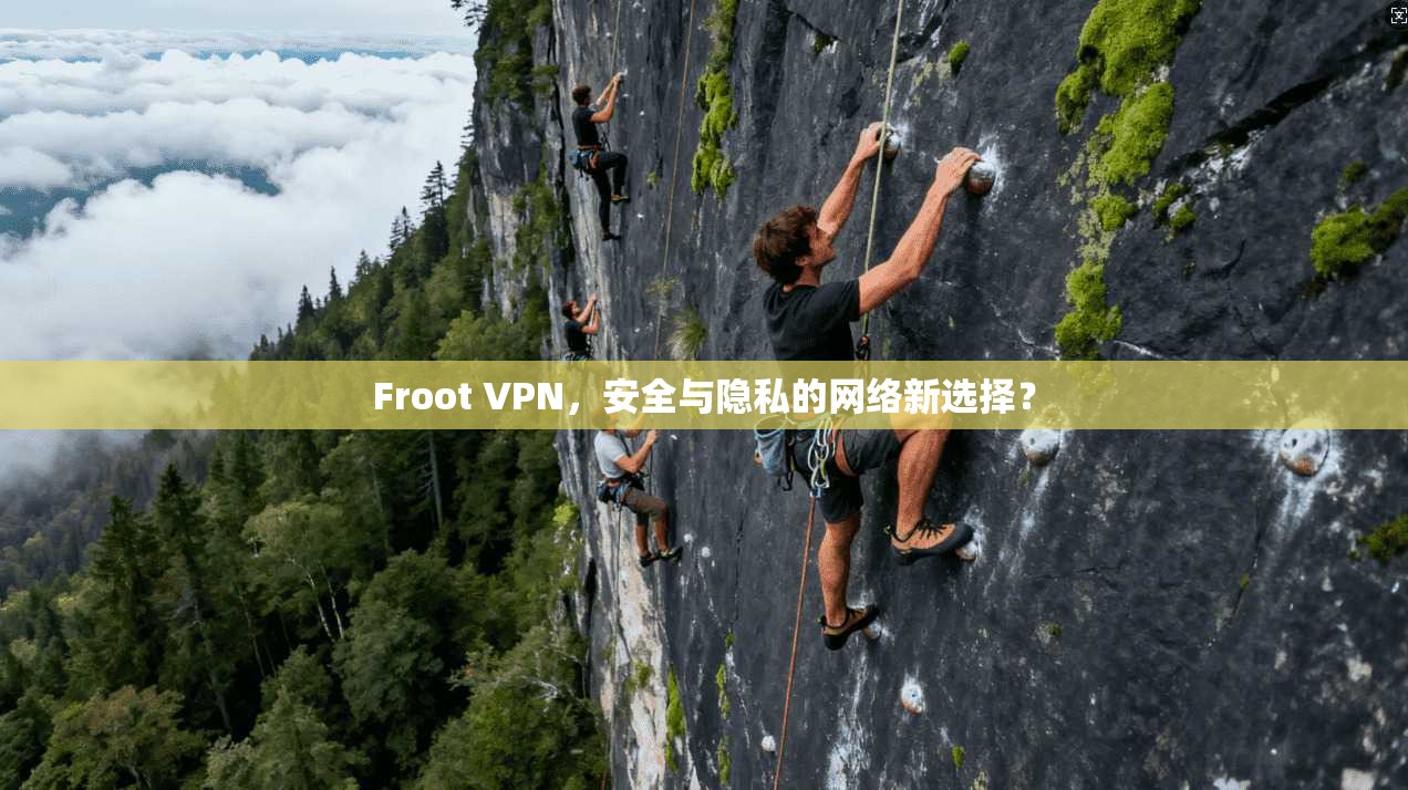Froot VPN，安全与隐私的网络新选择？
