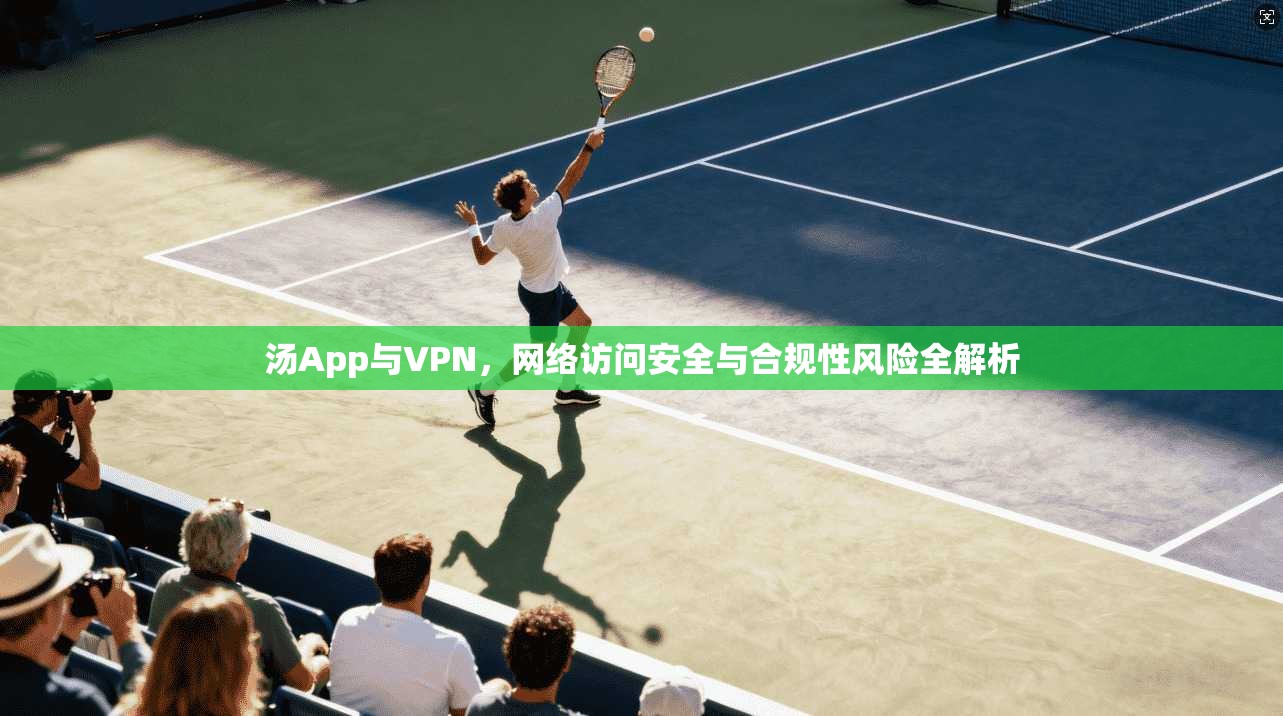 汤App与VPN，网络访问安全与合规性风险全解析