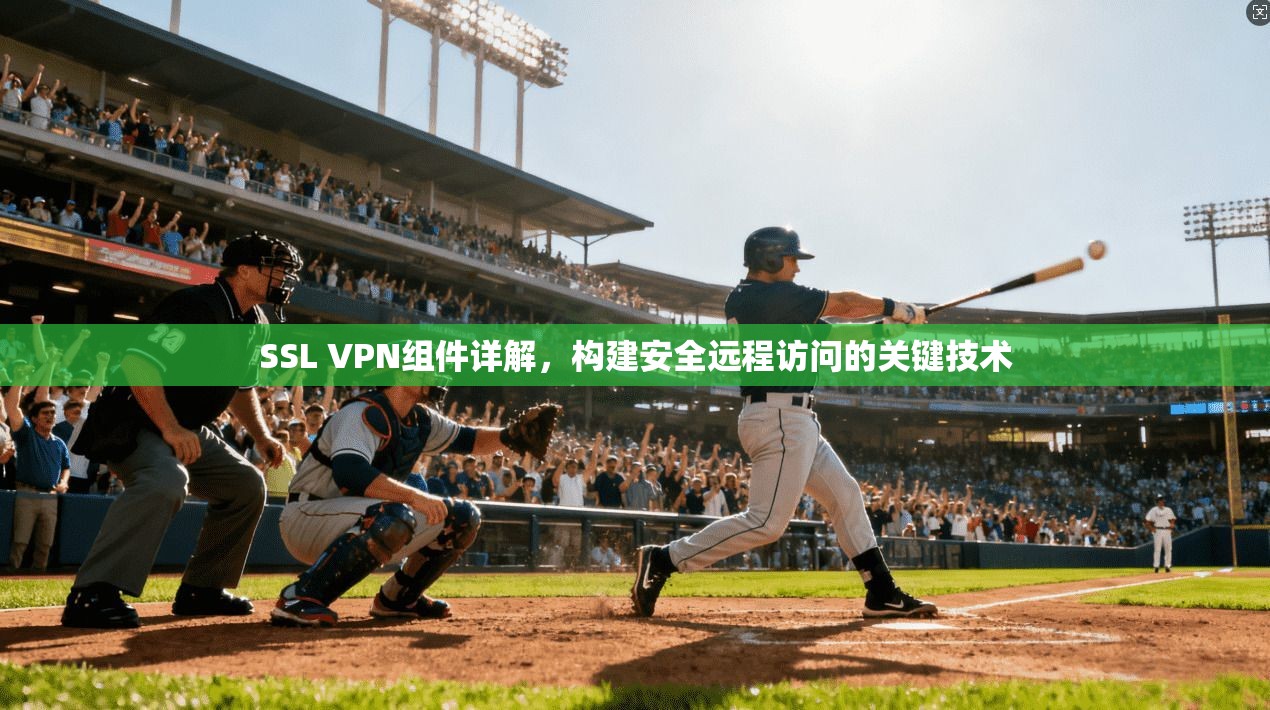 SSL VPN组件详解，构建安全远程访问的关键技术