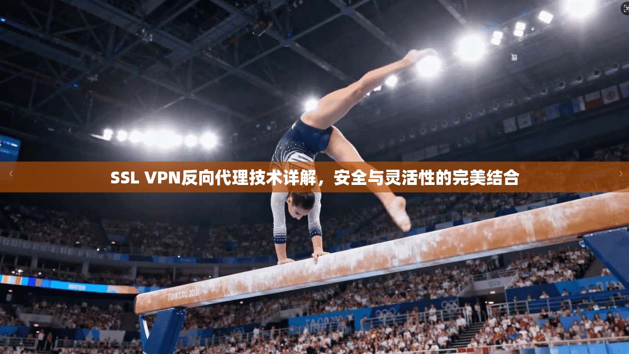 SSL VPN反向代理技术详解，安全与灵活性的完美结合