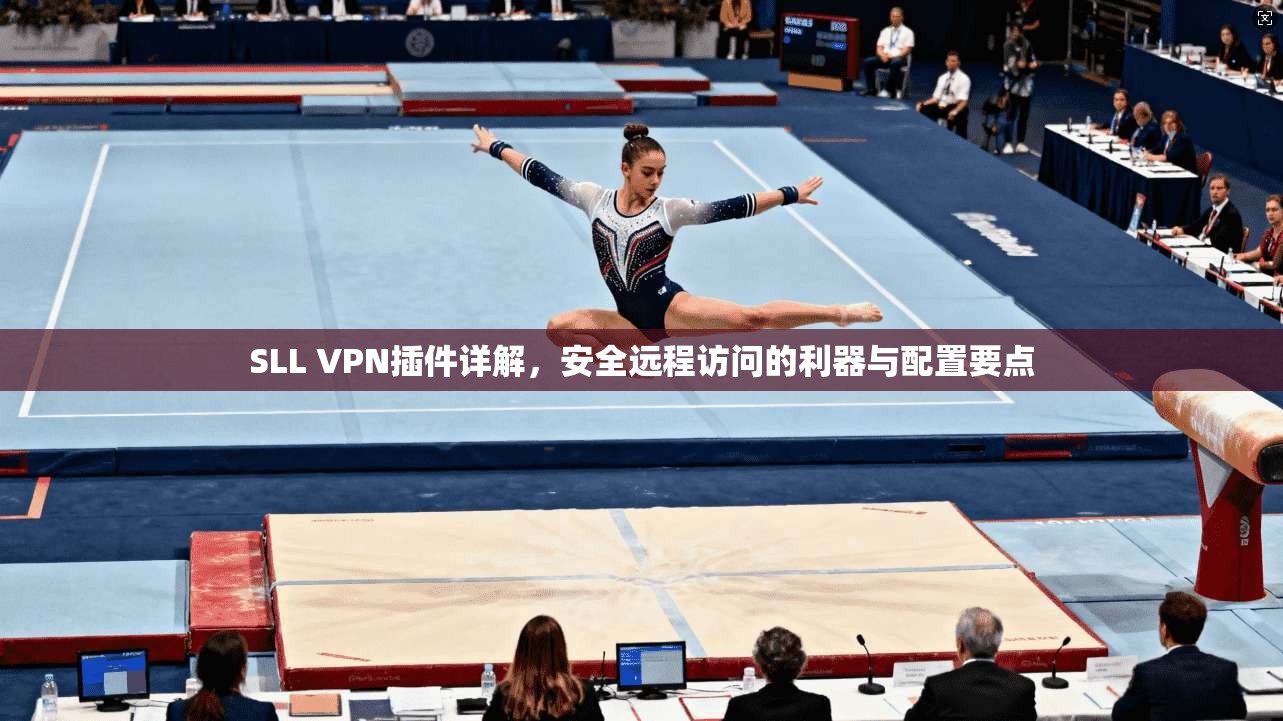SLL VPN插件详解，安全远程访问的利器与配置要点