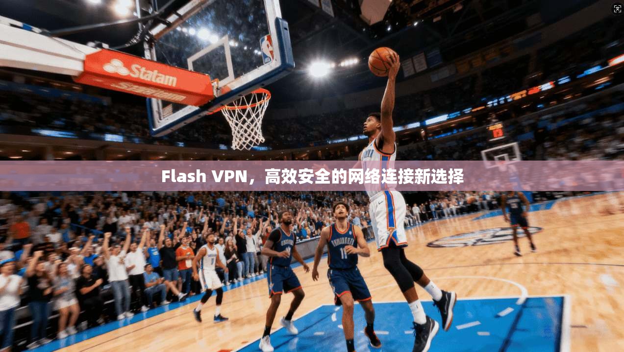 Flash VPN，高效安全的网络连接新选择