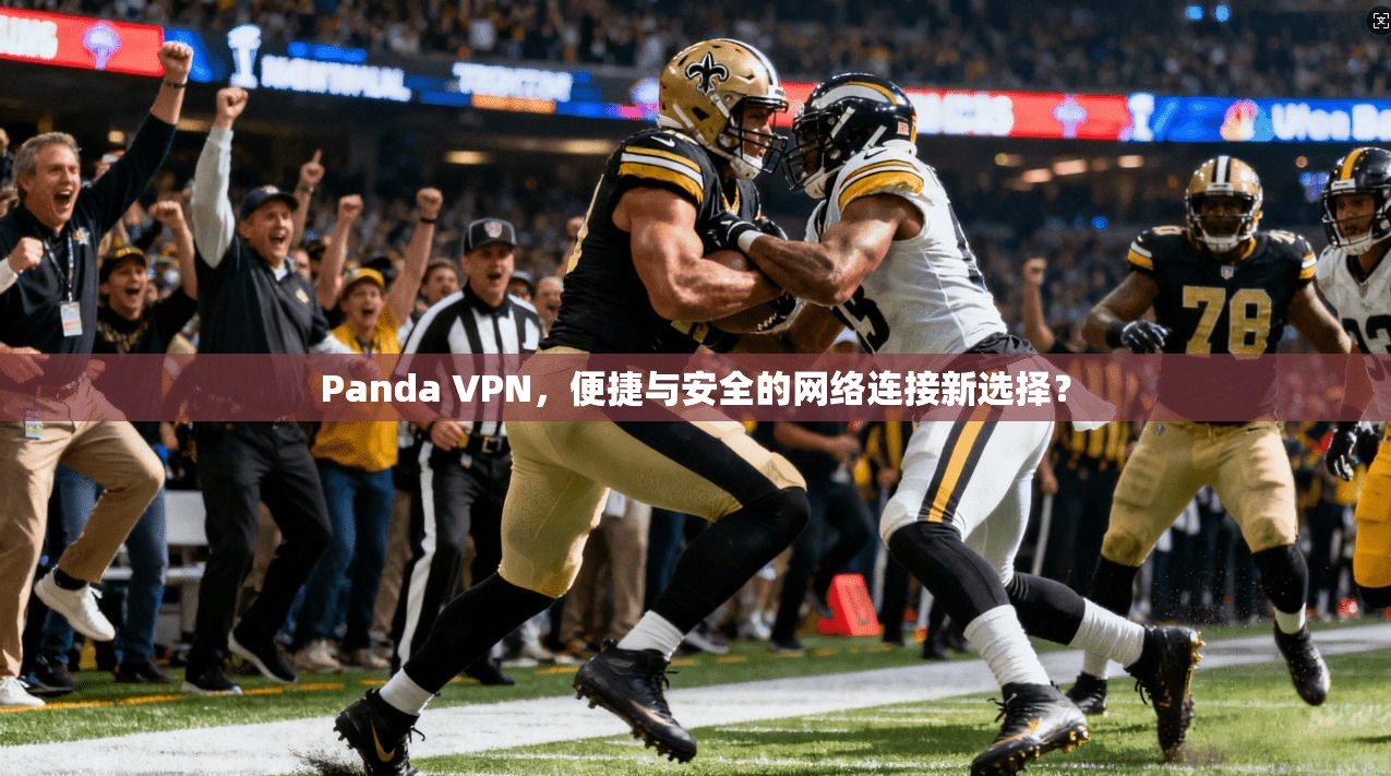 Panda VPN，便捷与安全的网络连接新选择？