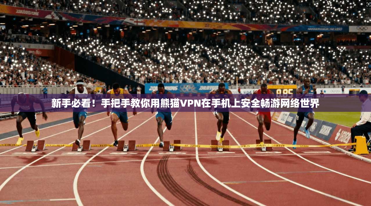 新手必看！手把手教你用熊猫VPN在手机上安全畅游网络世界