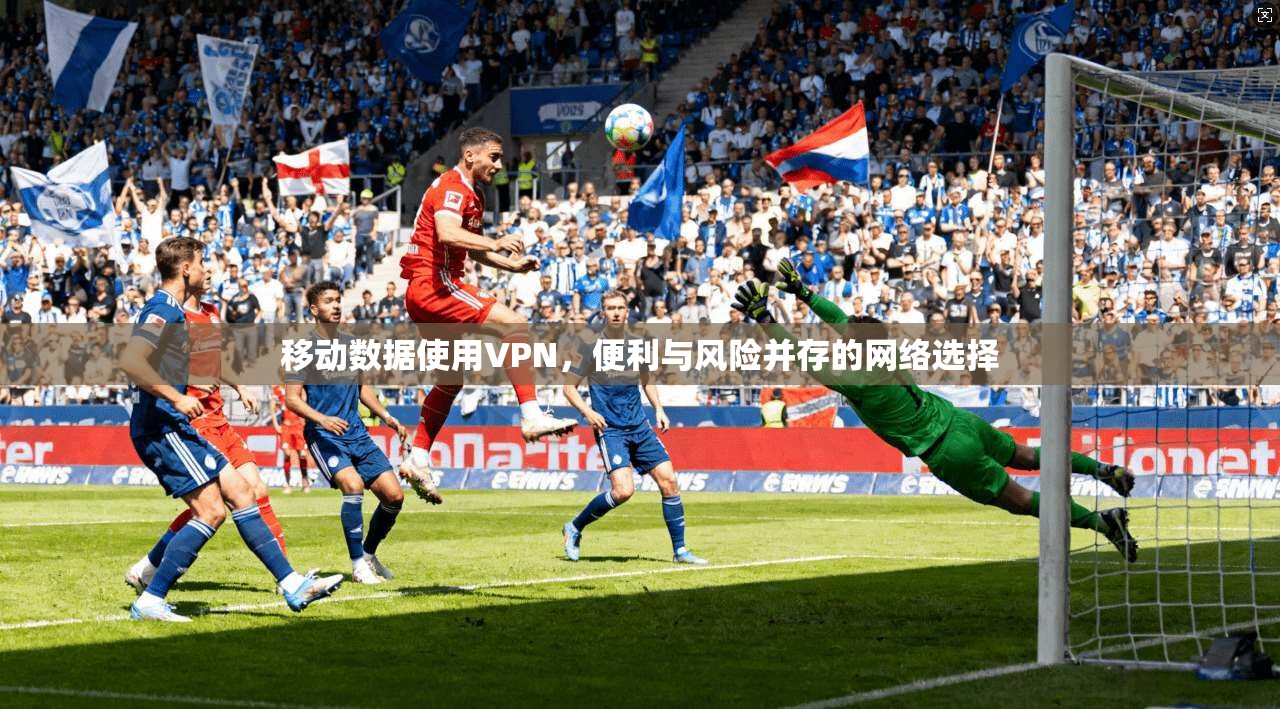 移动数据使用VPN，便利与风险并存的网络选择