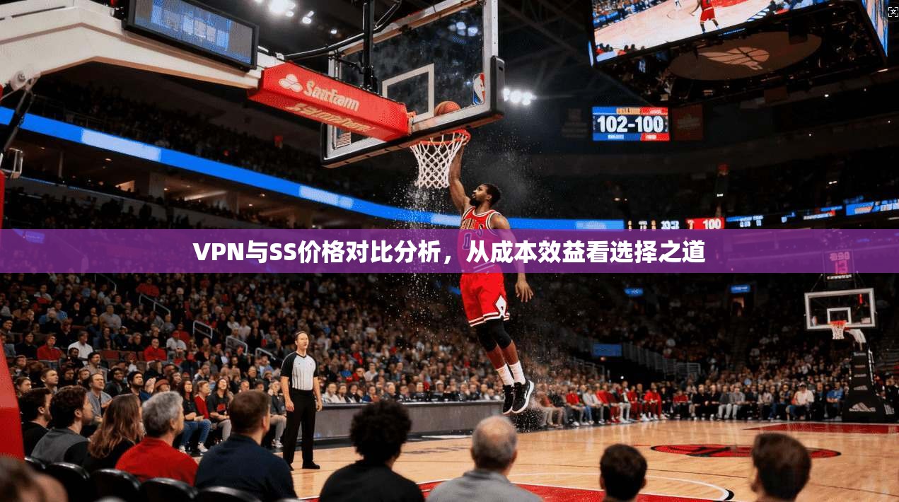 VPN与SS价格对比分析，从成本效益看选择之道