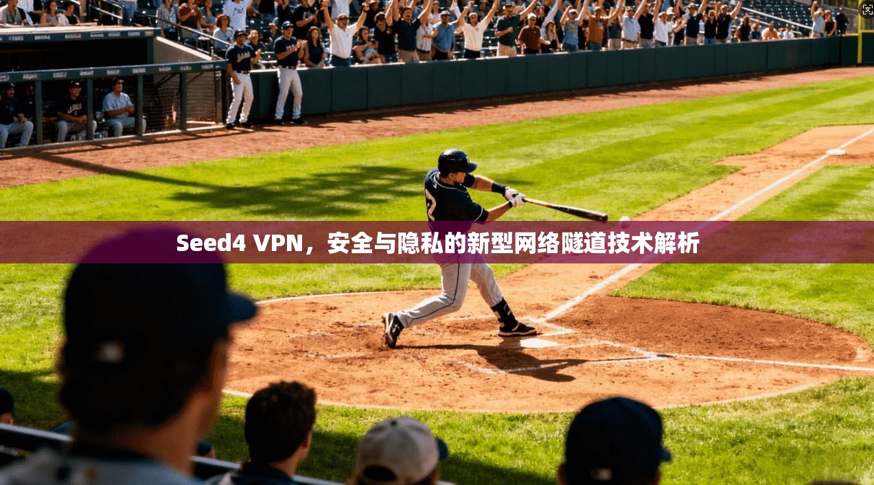 Seed4 VPN，安全与隐私的新型网络隧道技术解析