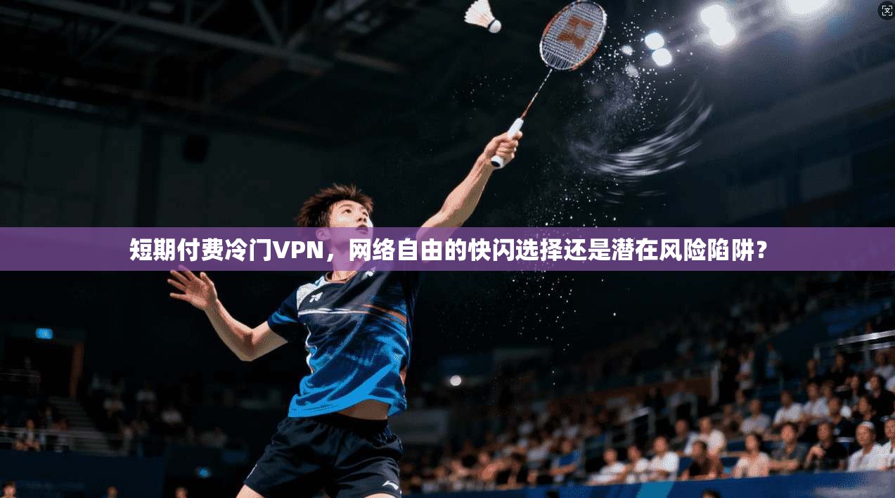 短期付费冷门VPN，网络自由的快闪选择还是潜在风险陷阱？